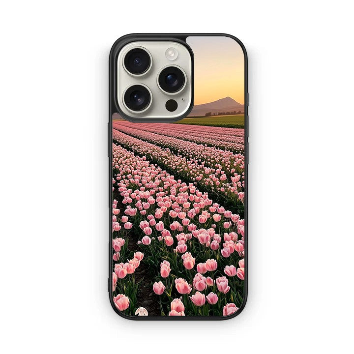 Tulip Sunset